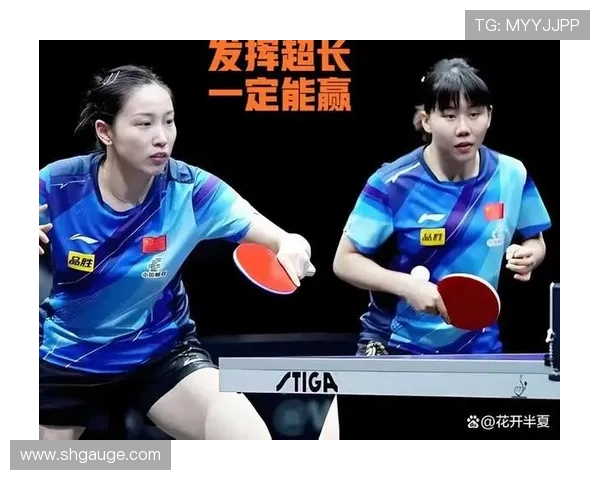 杭州排球队以79分领跑大满贯积分榜展现强劲实力