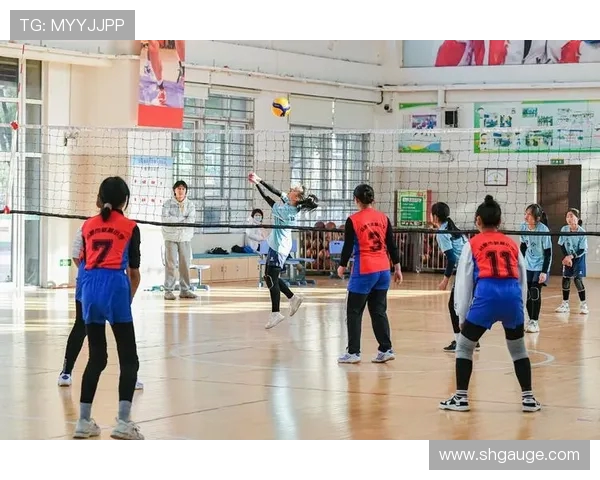 深圳排球队比赛经验分享：探索排球竞技的成长与挑战之路