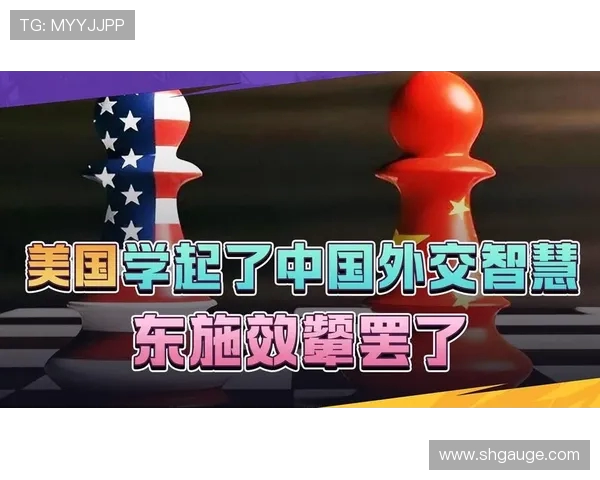 赖斯的外交智慧与全球影响力探讨:重塑国际关系的新篇章