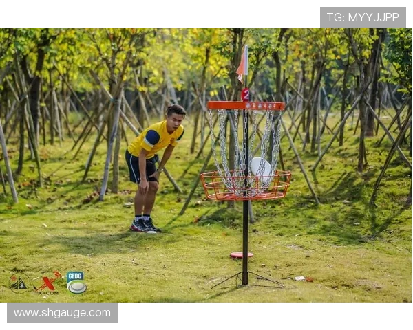 飞盘个人能力排行榜揭晓杭州飞盘队荣登榜首引发热议