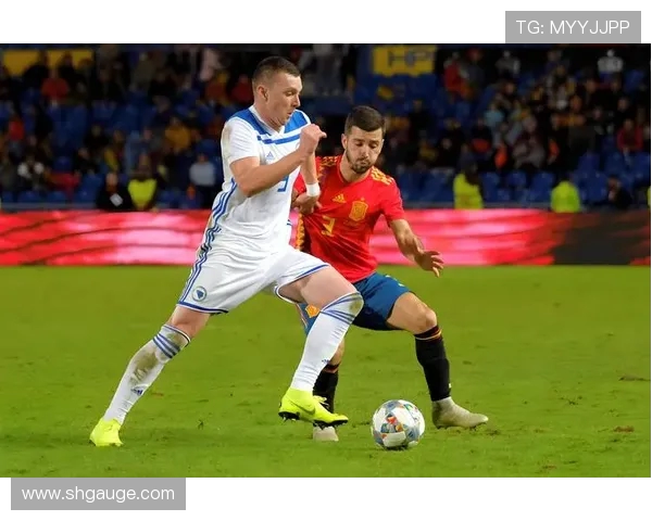 黑波对决奥地利精彩赛事回顾与战术分析