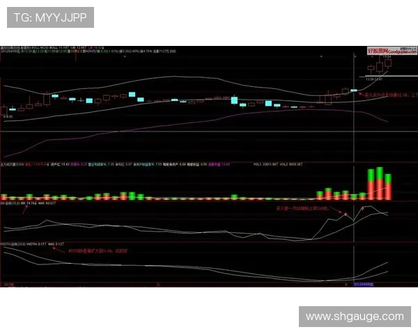 LNG在挑战者杯中的强势表现与未来潜力深度解析