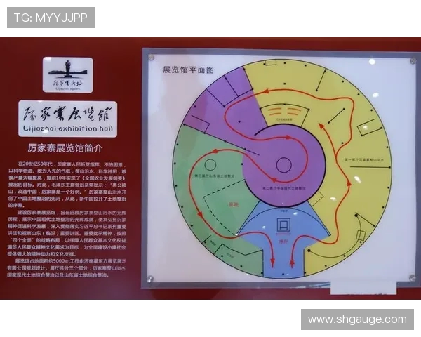 上海排球队的辉煌历程与拼搏精神大揭秘