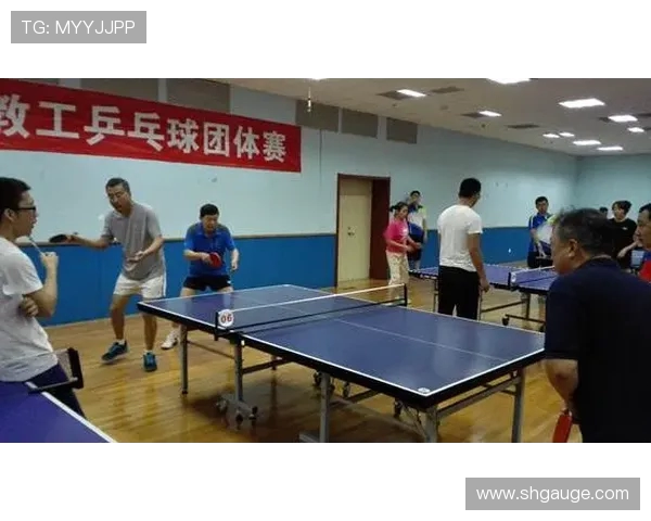 乒乓球专题：深入探讨杭州乒乓球队如何实现高效团队协作与默契配合