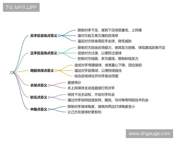 南京羽毛球队的默契配合与战术探讨聚焦羽毛球运动的团队精神与协作能力
