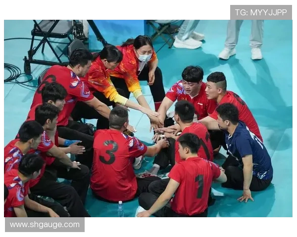 杭州排球队的节奏与魅力探讨聚焦排球的激情与团队协作